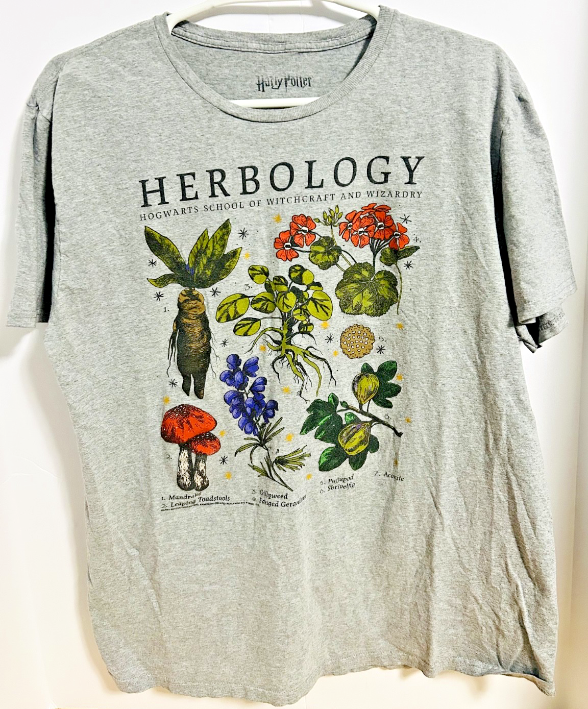 Harry Potter Herbology Hogwarts Graphic T-Shirt Gray Adult Medium