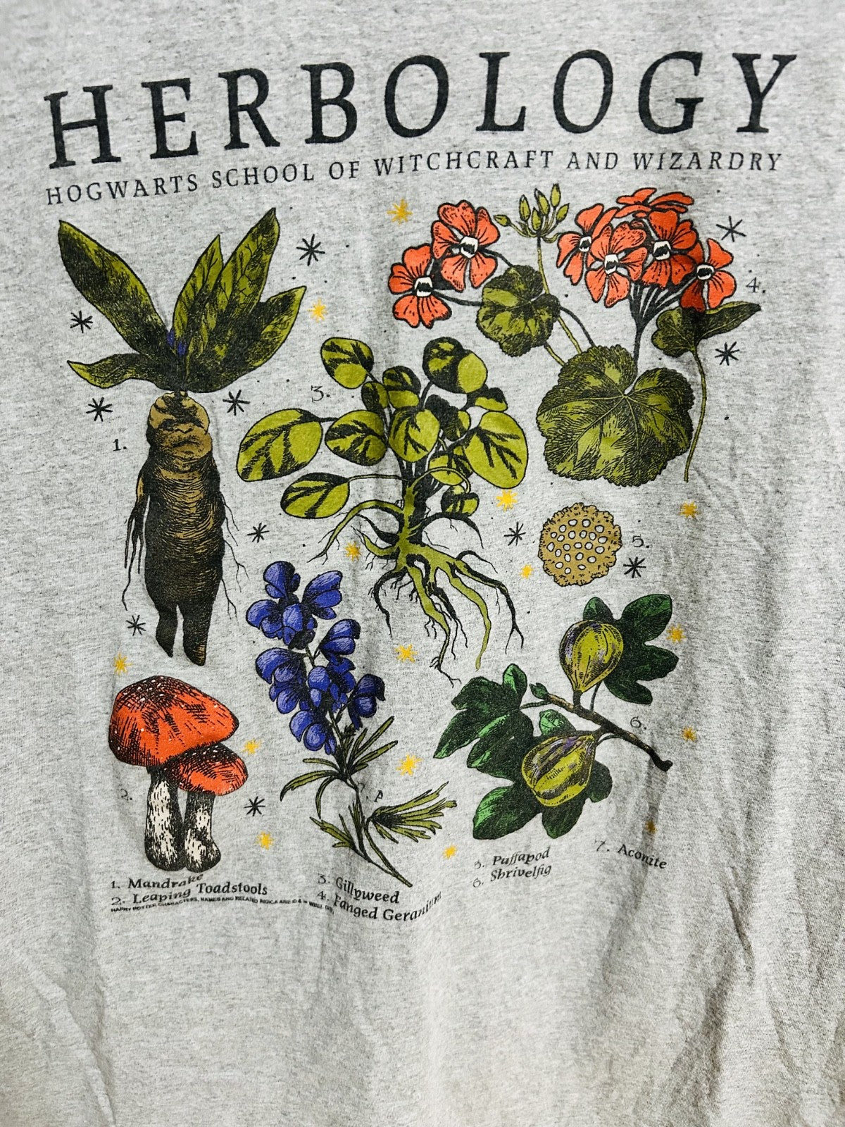 Harry Potter Herbology Hogwarts Graphic T-Shirt Gray Adult Medium