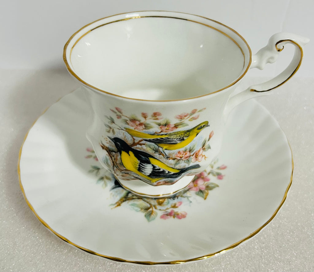 Queen’s Birds of America #28 Bone China Cup Saucer England