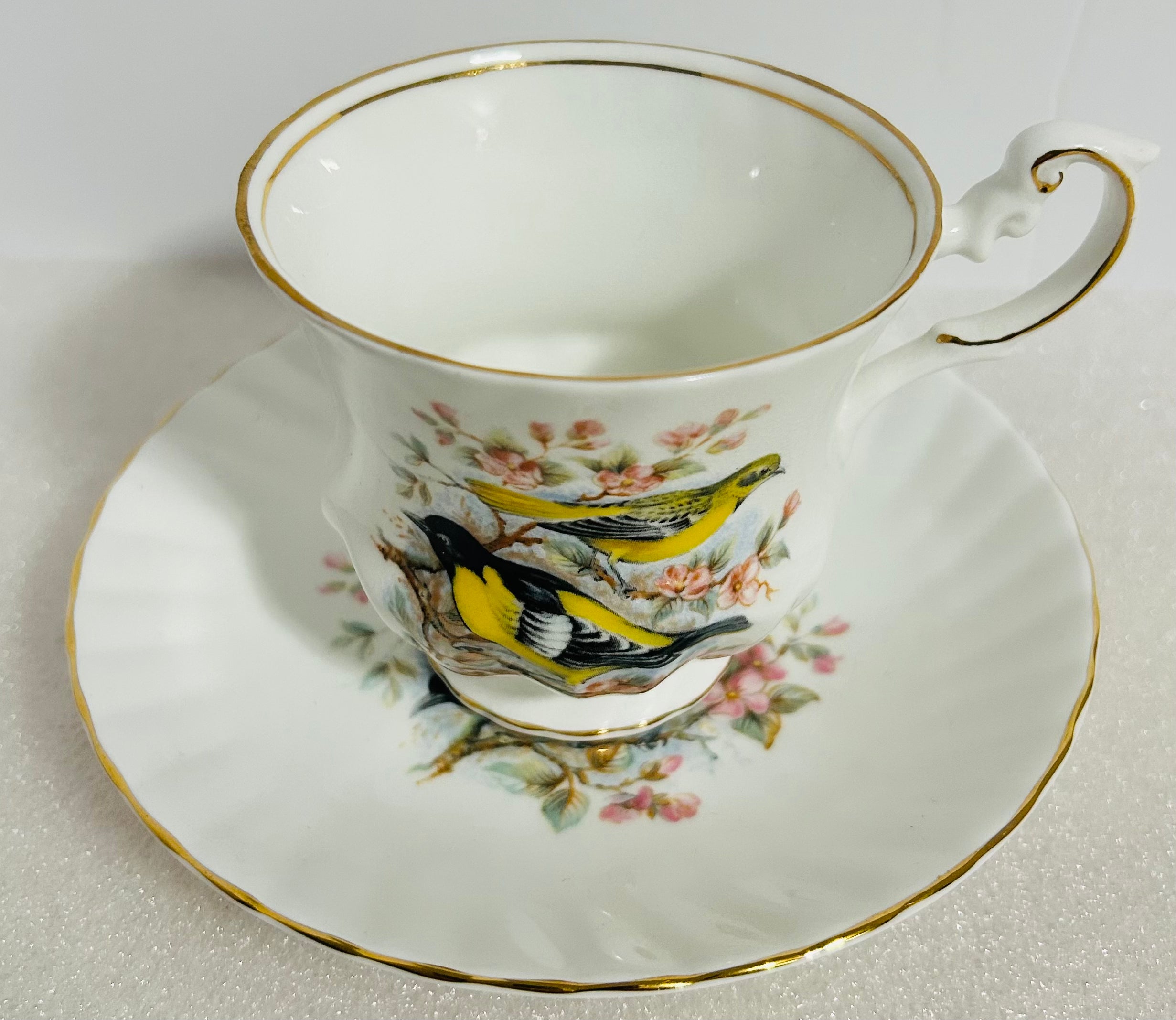 Queen’s Birds of America #28 Bone China Cup Saucer England