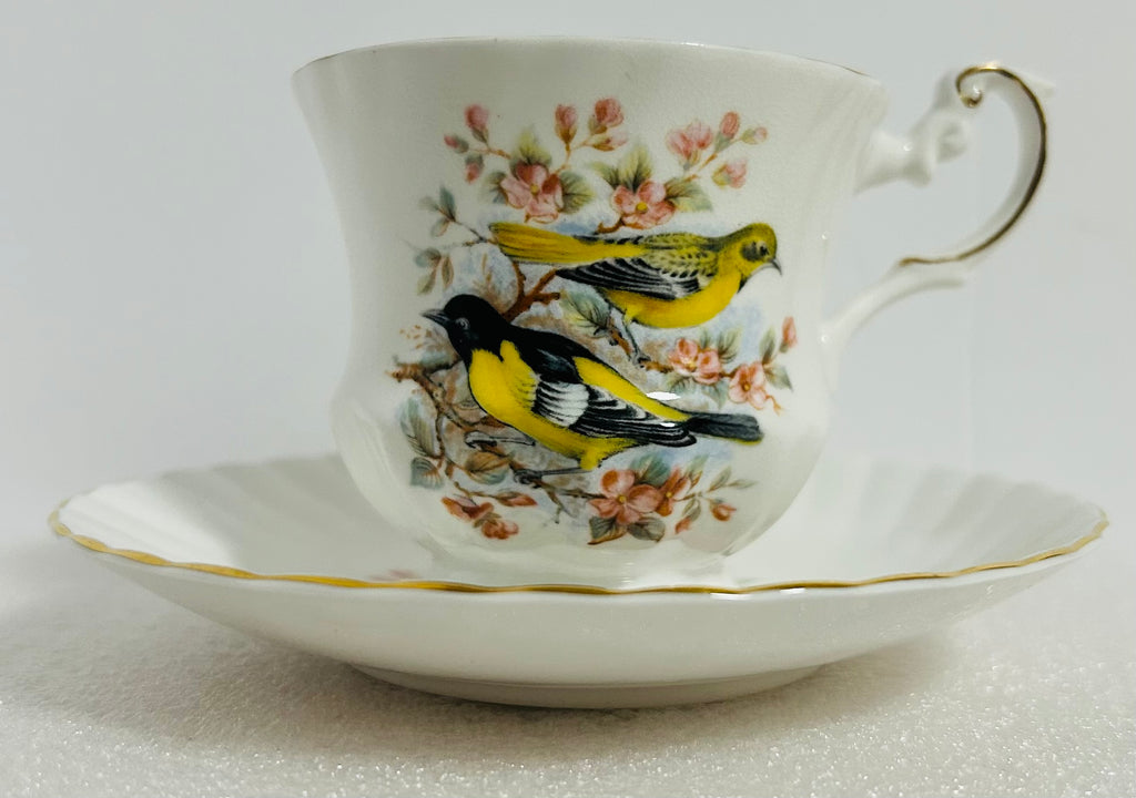 Queen’s Birds of America #28 Bone China Cup Saucer England