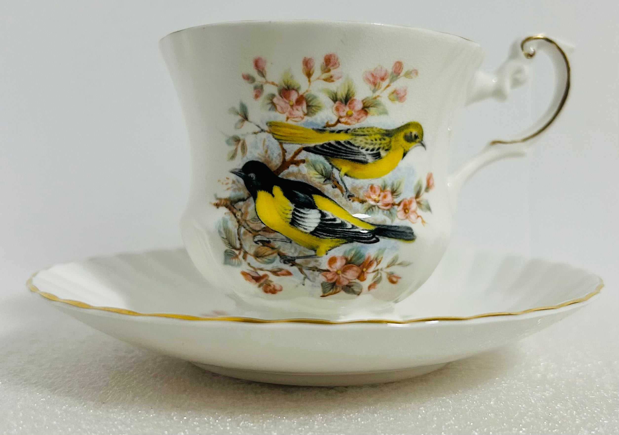 Queen’s Birds of America #28 Bone China Cup Saucer England
