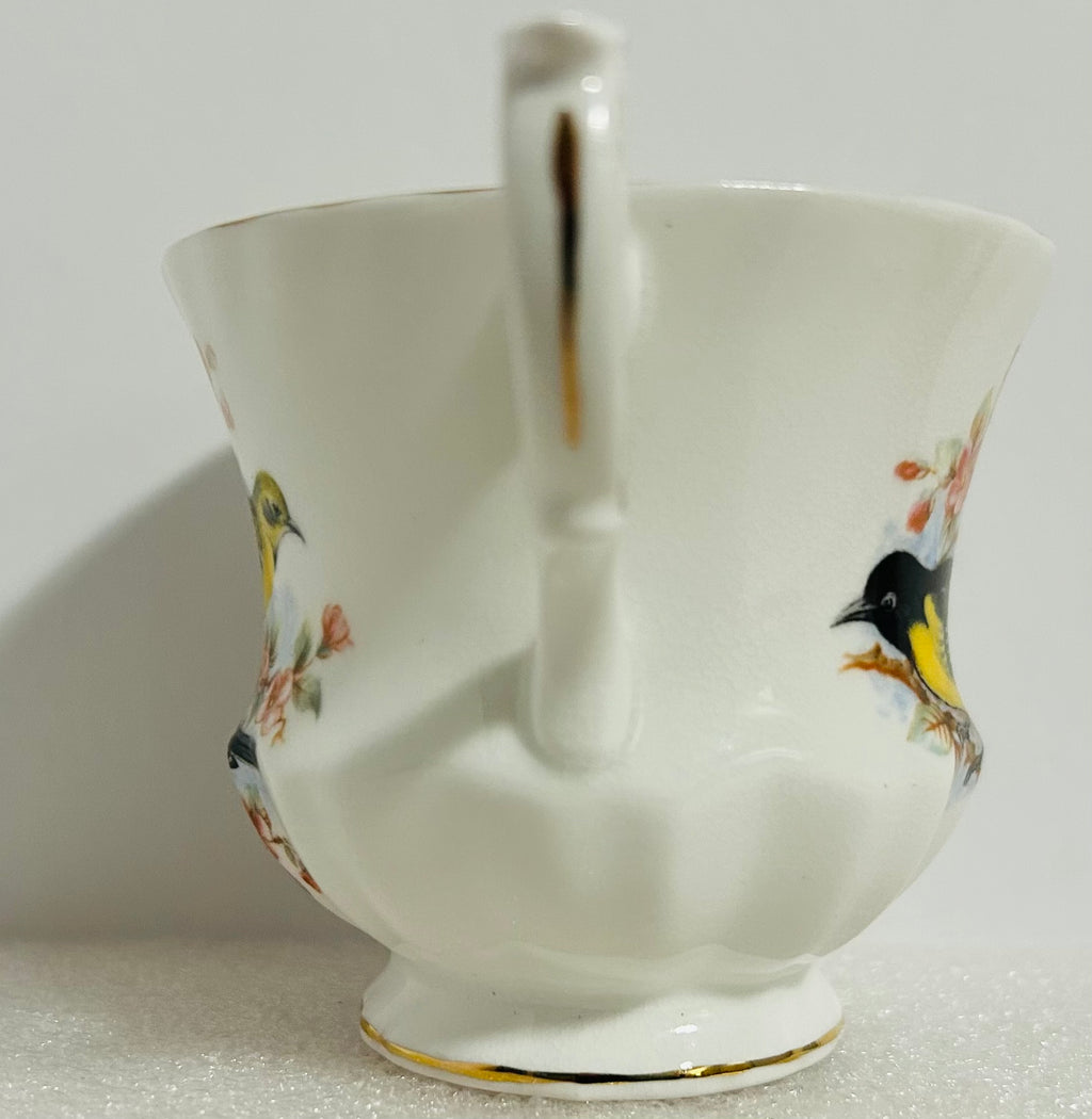 Queen’s Birds of America #28 Bone China Cup Saucer England