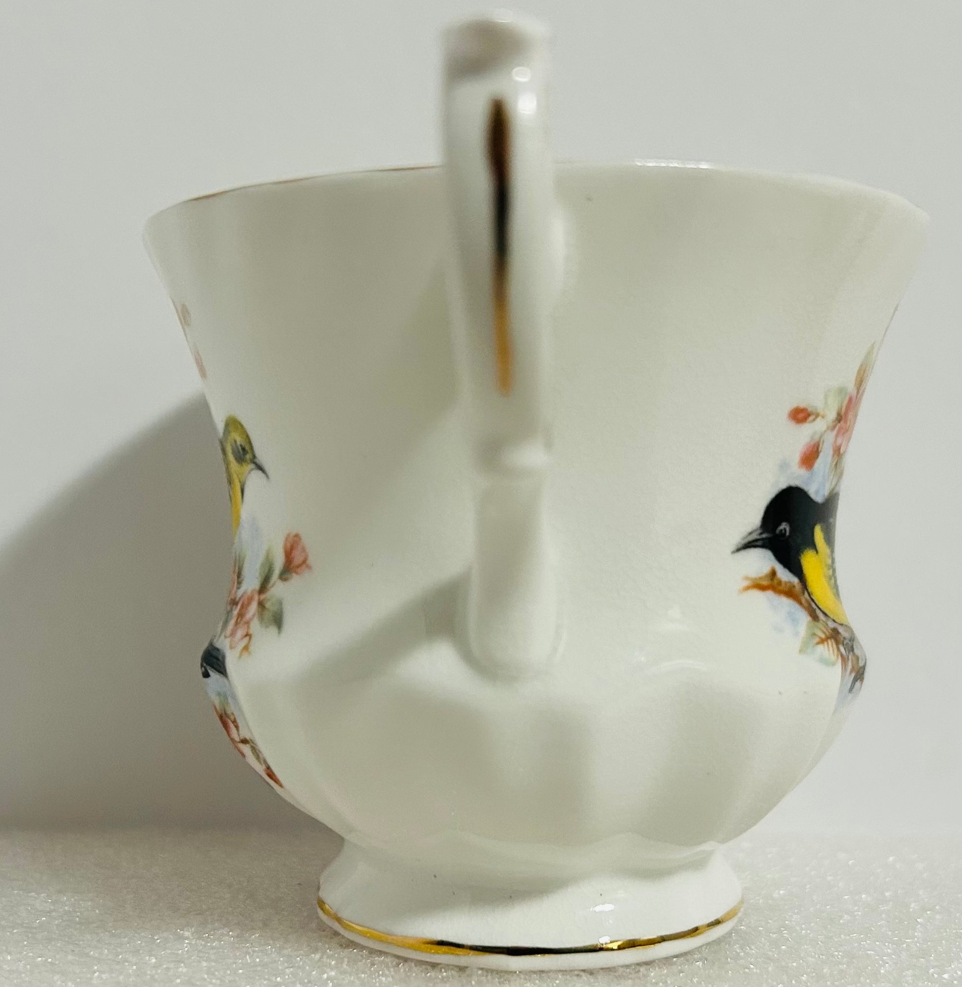 Queen’s Birds of America #28 Bone China Cup Saucer England