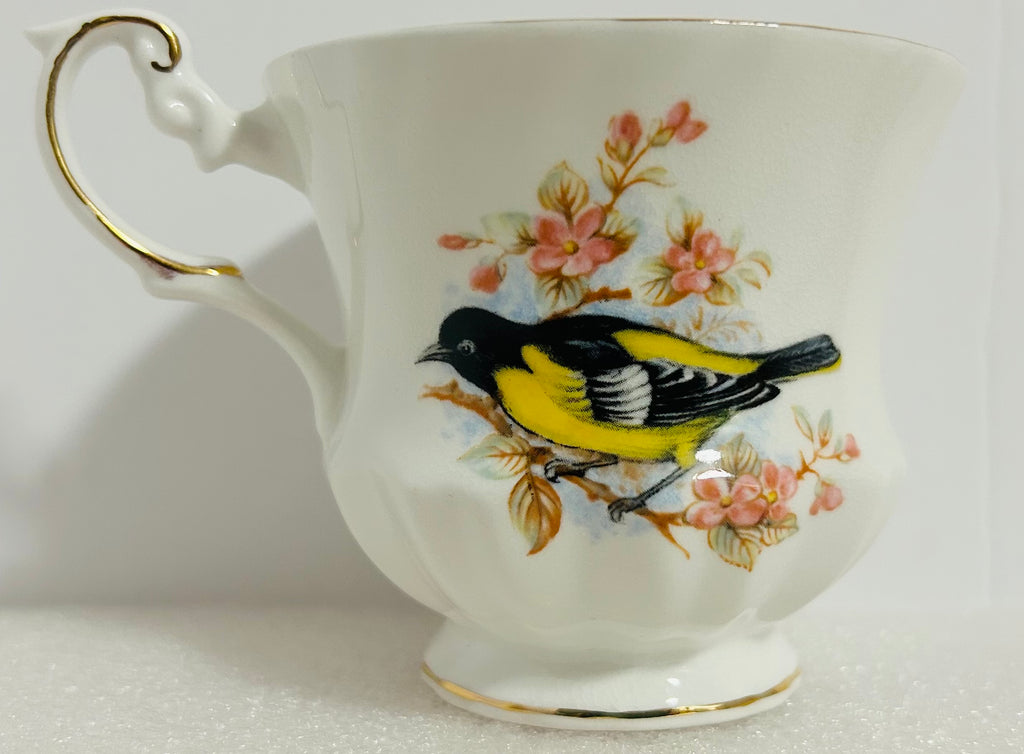 Queen’s Birds of America #28 Bone China Cup Saucer England