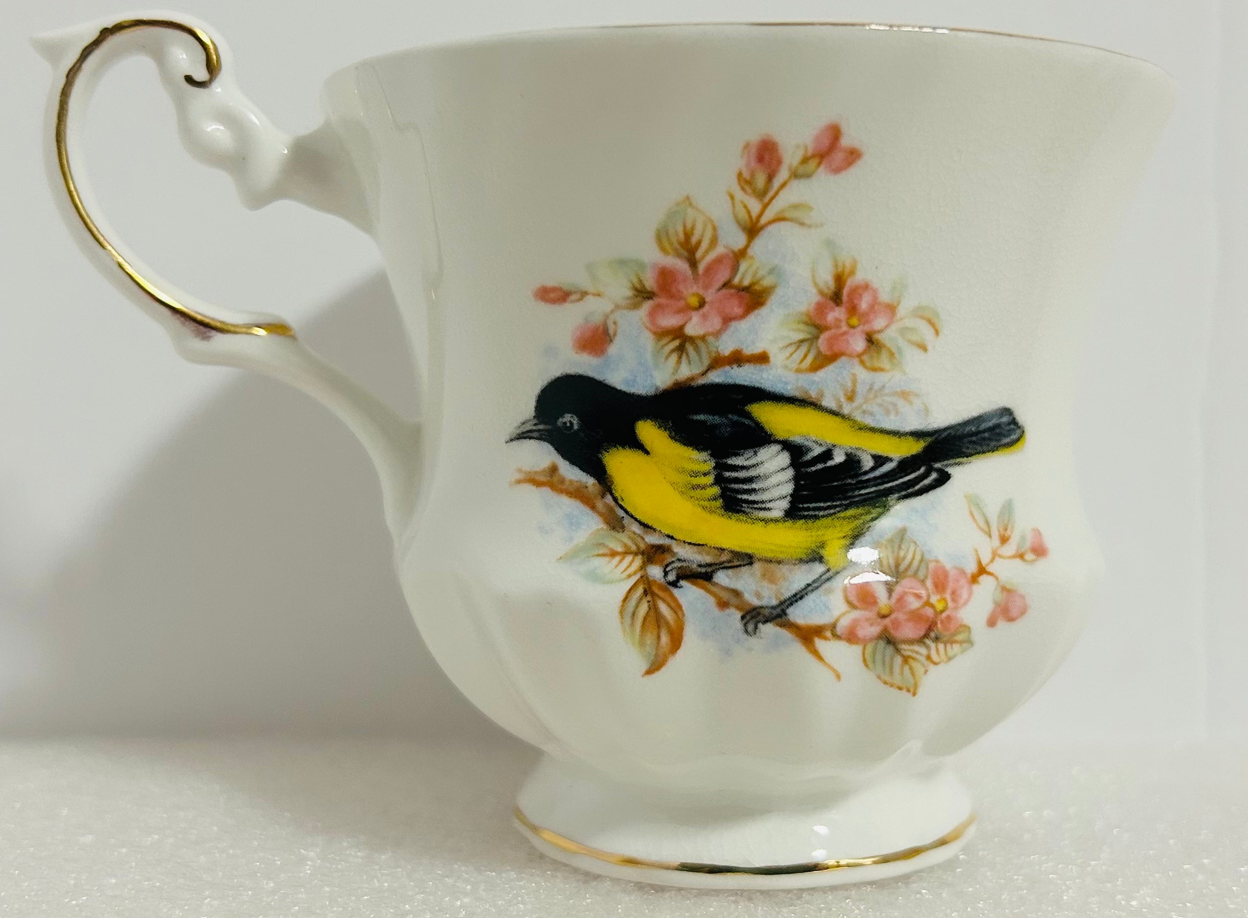 Queen’s Birds of America #28 Bone China Cup Saucer England
