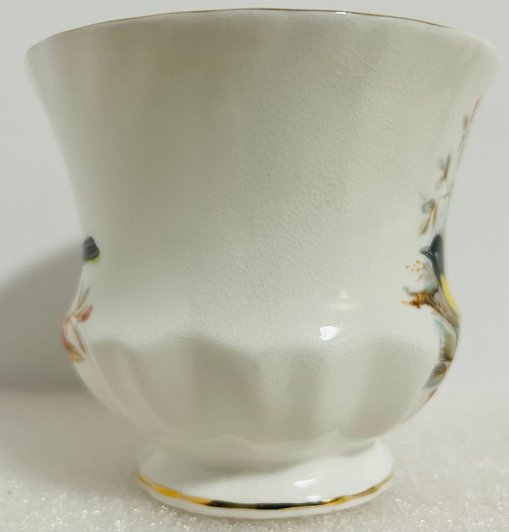 Queen’s Birds of America #28 Bone China Cup Saucer England