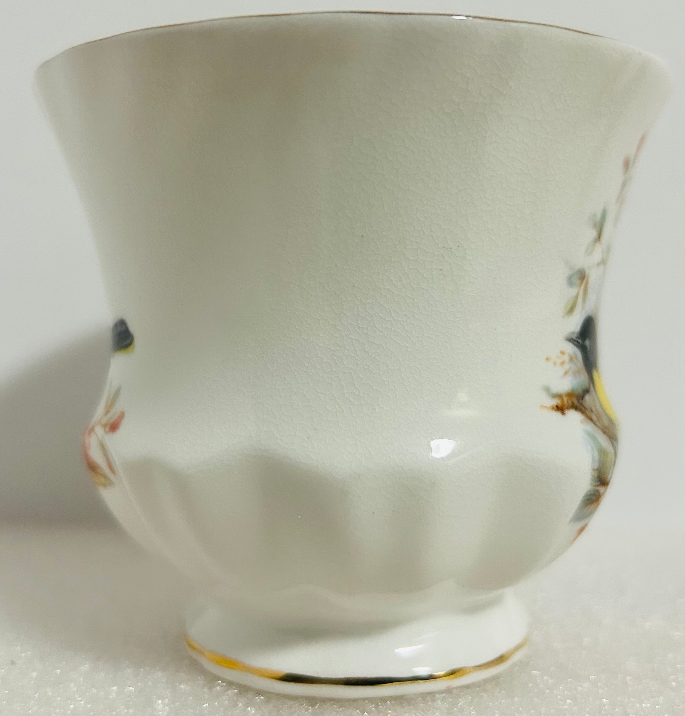 Queen’s Birds of America #28 Bone China Cup Saucer England