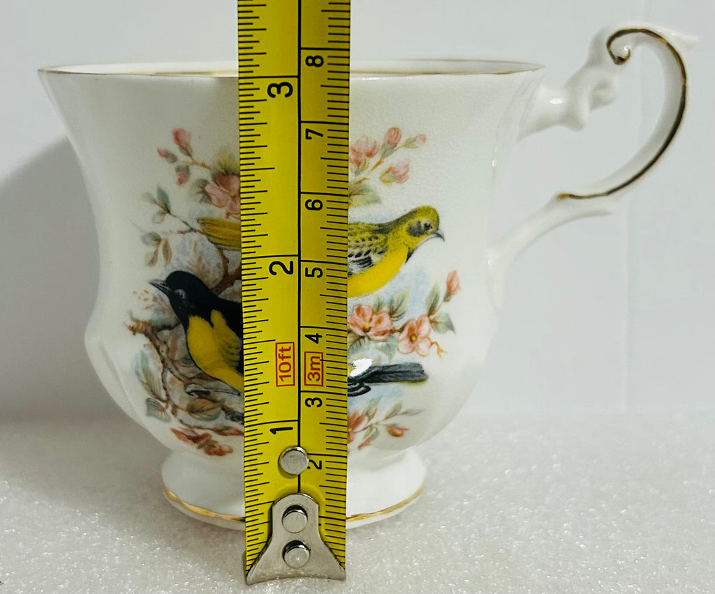 Queen’s Birds of America #28 Bone China Cup Saucer England