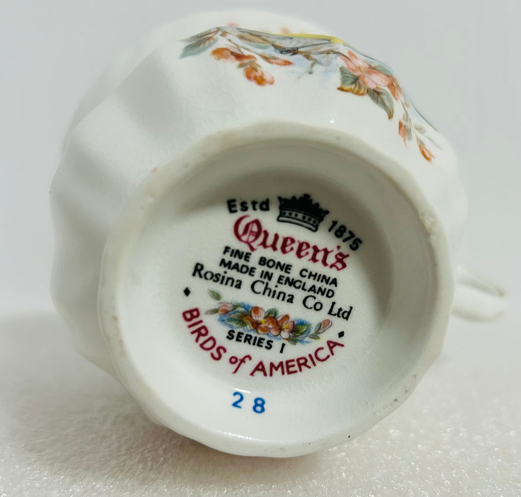 Queen’s Birds of America #28 Bone China Cup Saucer England