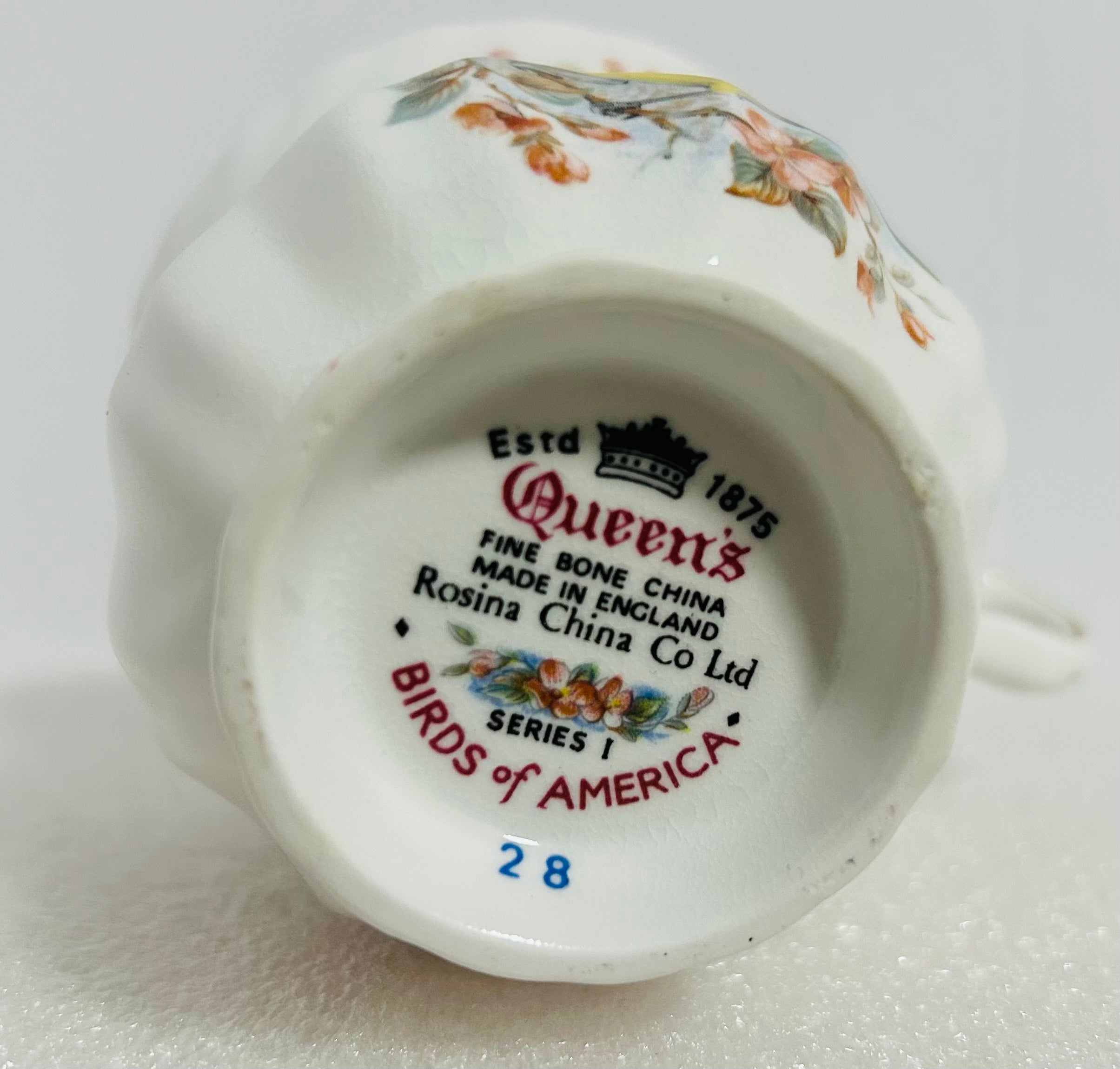 Queen’s Birds of America #28 Bone China Cup Saucer England