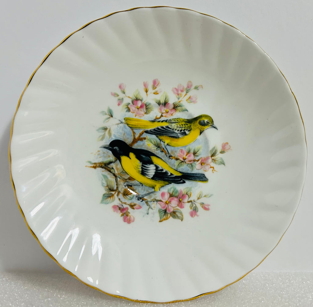 Queen’s Birds of America #28 Bone China Cup Saucer England