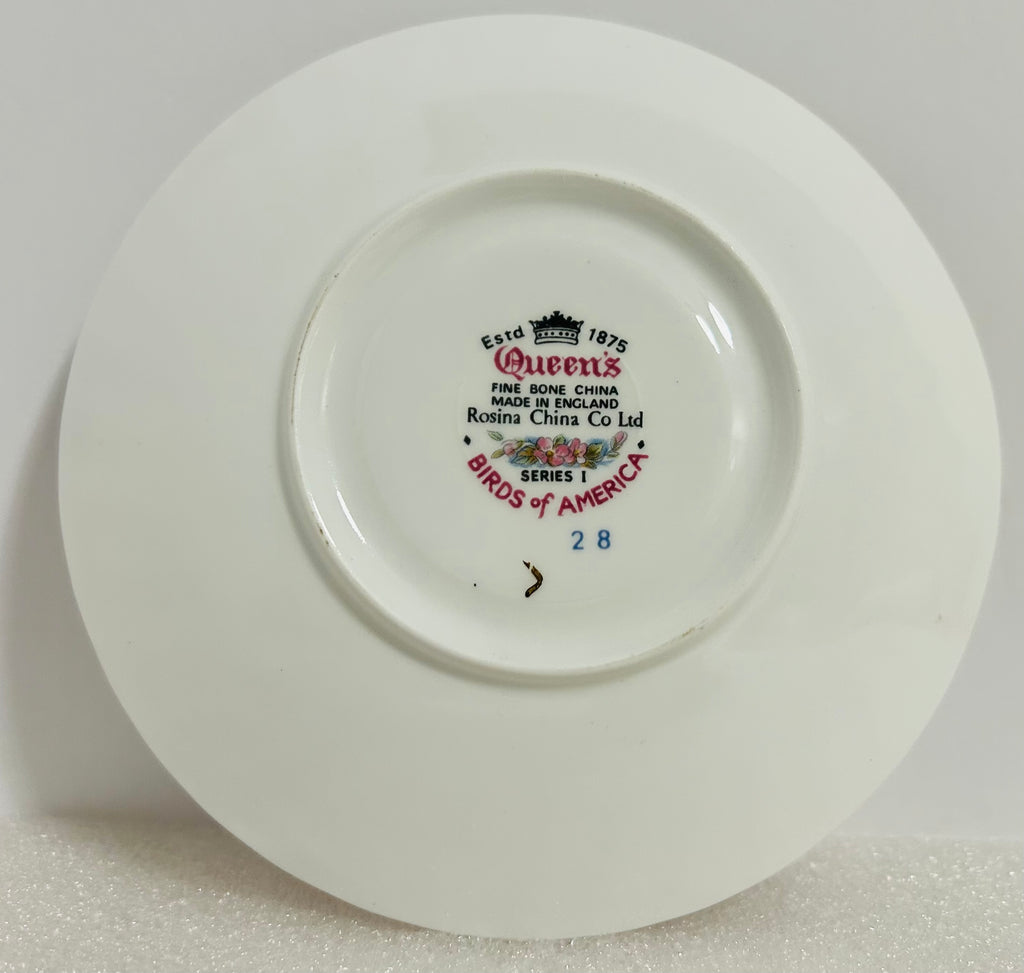 Queen’s Birds of America #28 Bone China Cup Saucer England