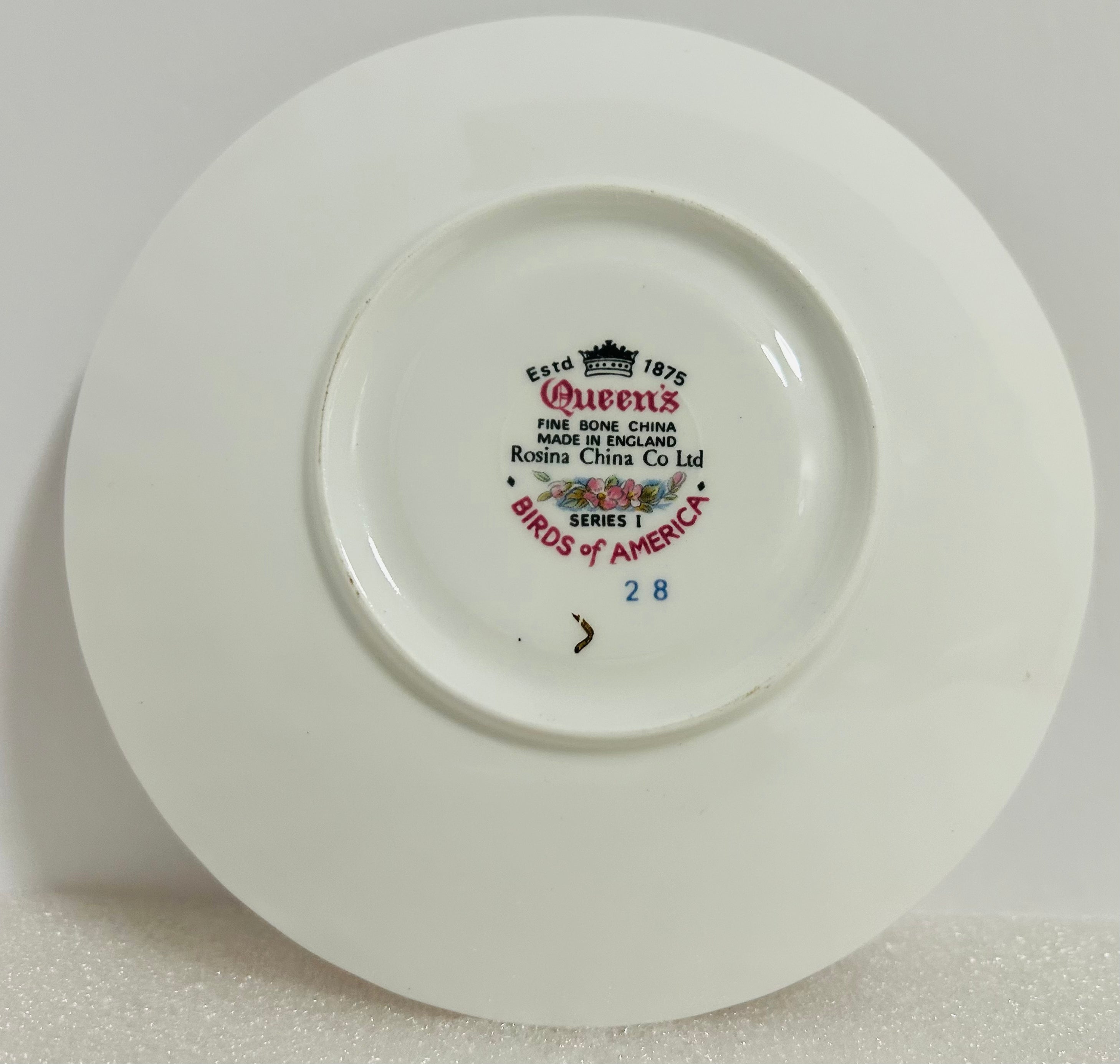 Queen’s Birds of America #28 Bone China Cup Saucer England