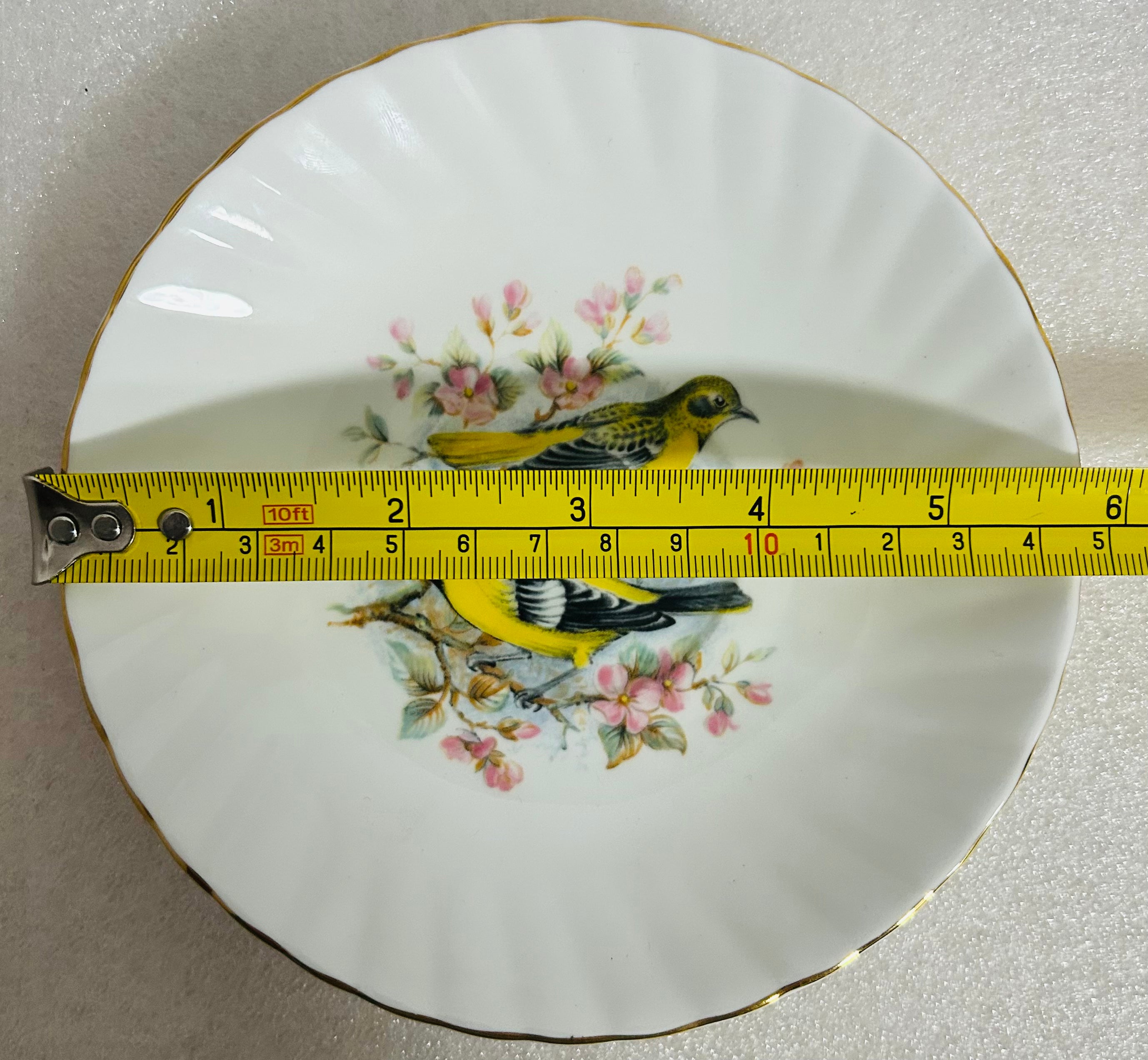 Queen’s Birds of America #28 Bone China Cup Saucer England