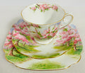 Royal Albert Blossom Time Trio Cup Saucer Plate England