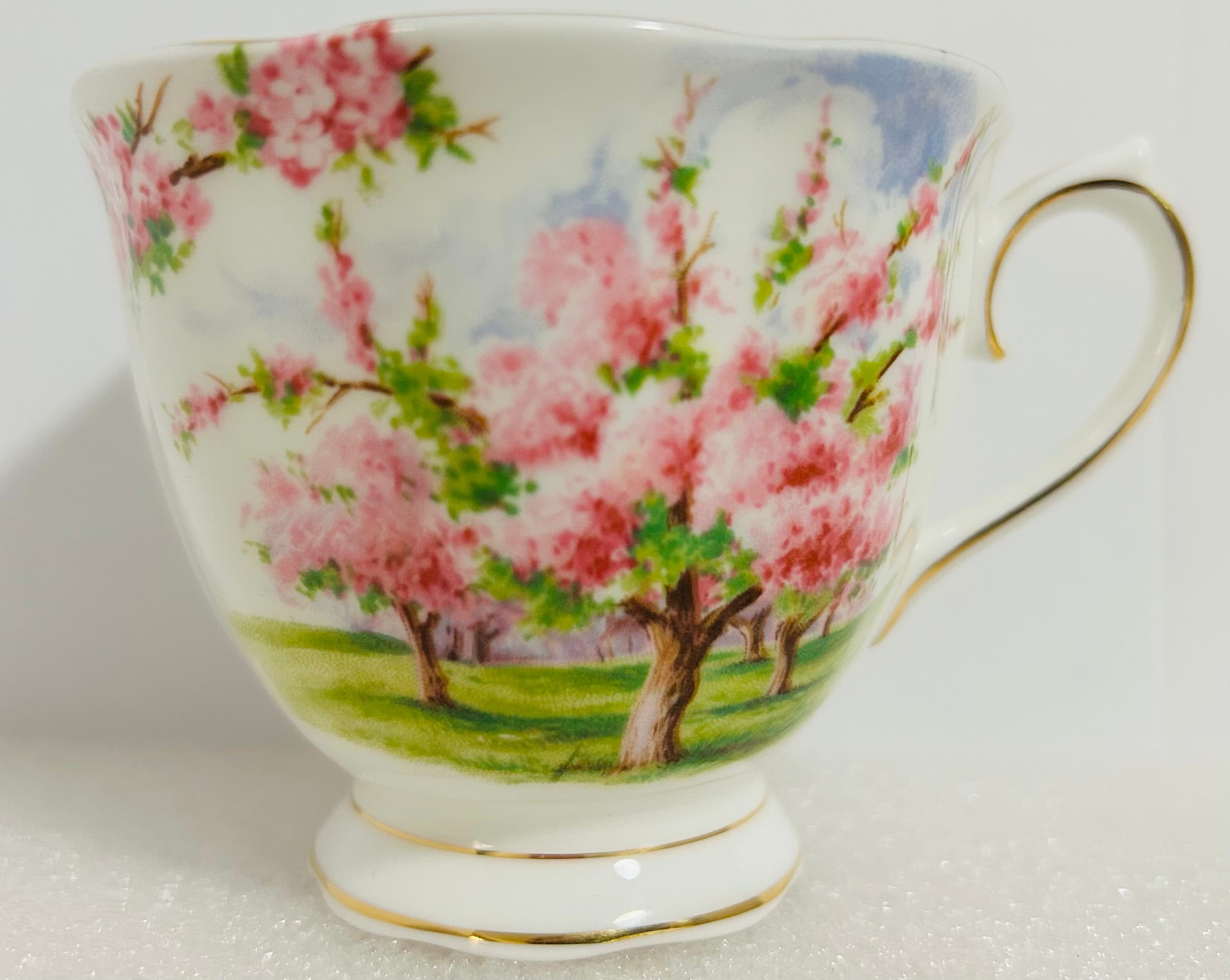 Royal Albert Blossom Time Trio Cup Saucer Plate England