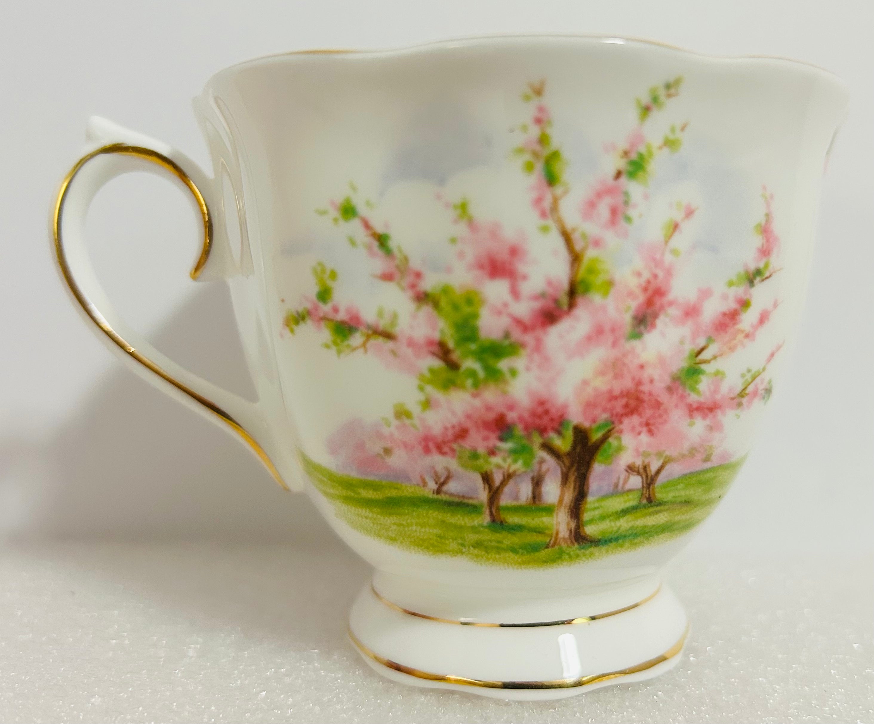 Royal Albert Blossom Time Trio Cup Saucer Plate England