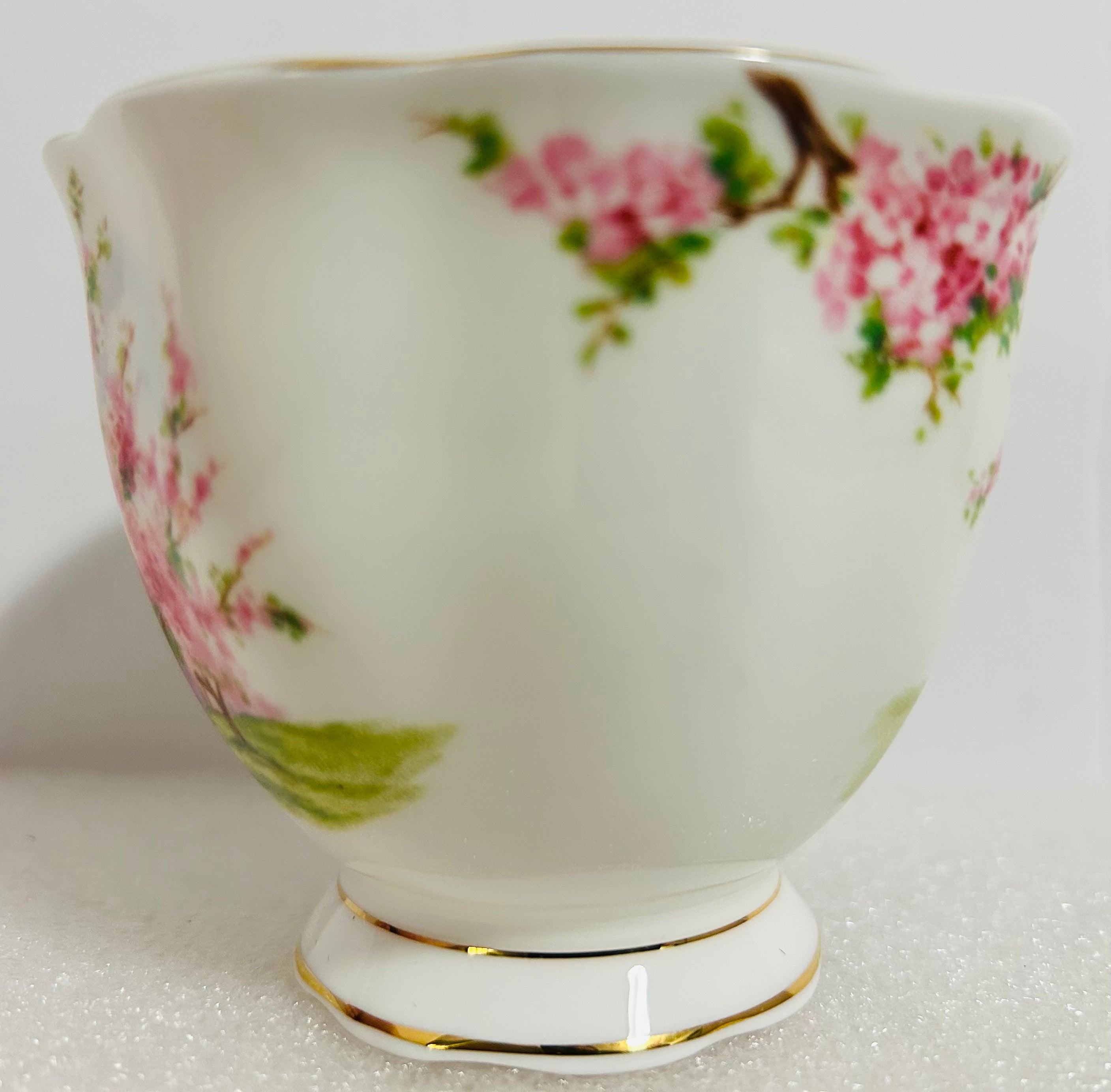 Royal Albert Blossom Time Trio Cup Saucer Plate England