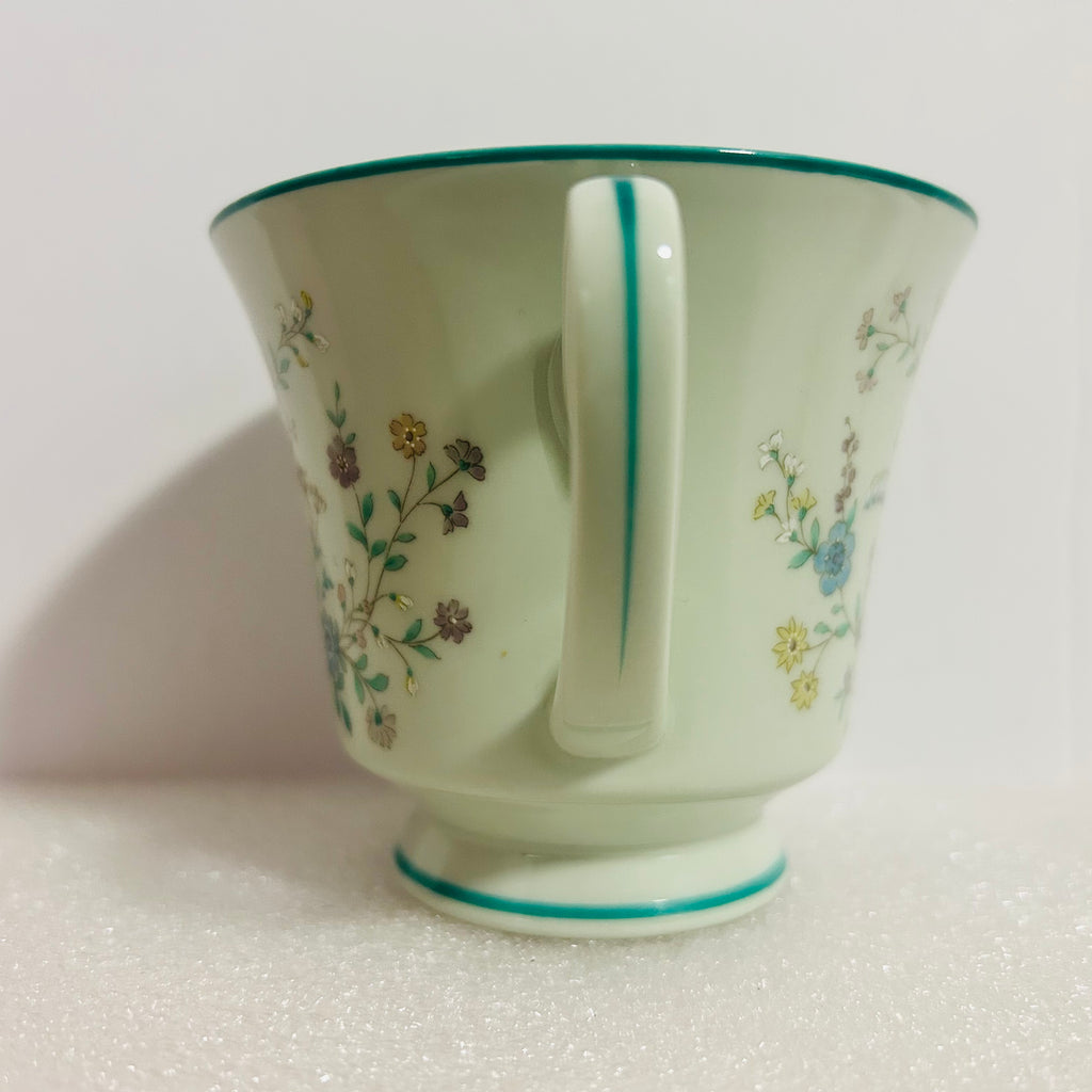 Noritake Paradise 8223 W80 Teacup Saucer Mint Green Japan