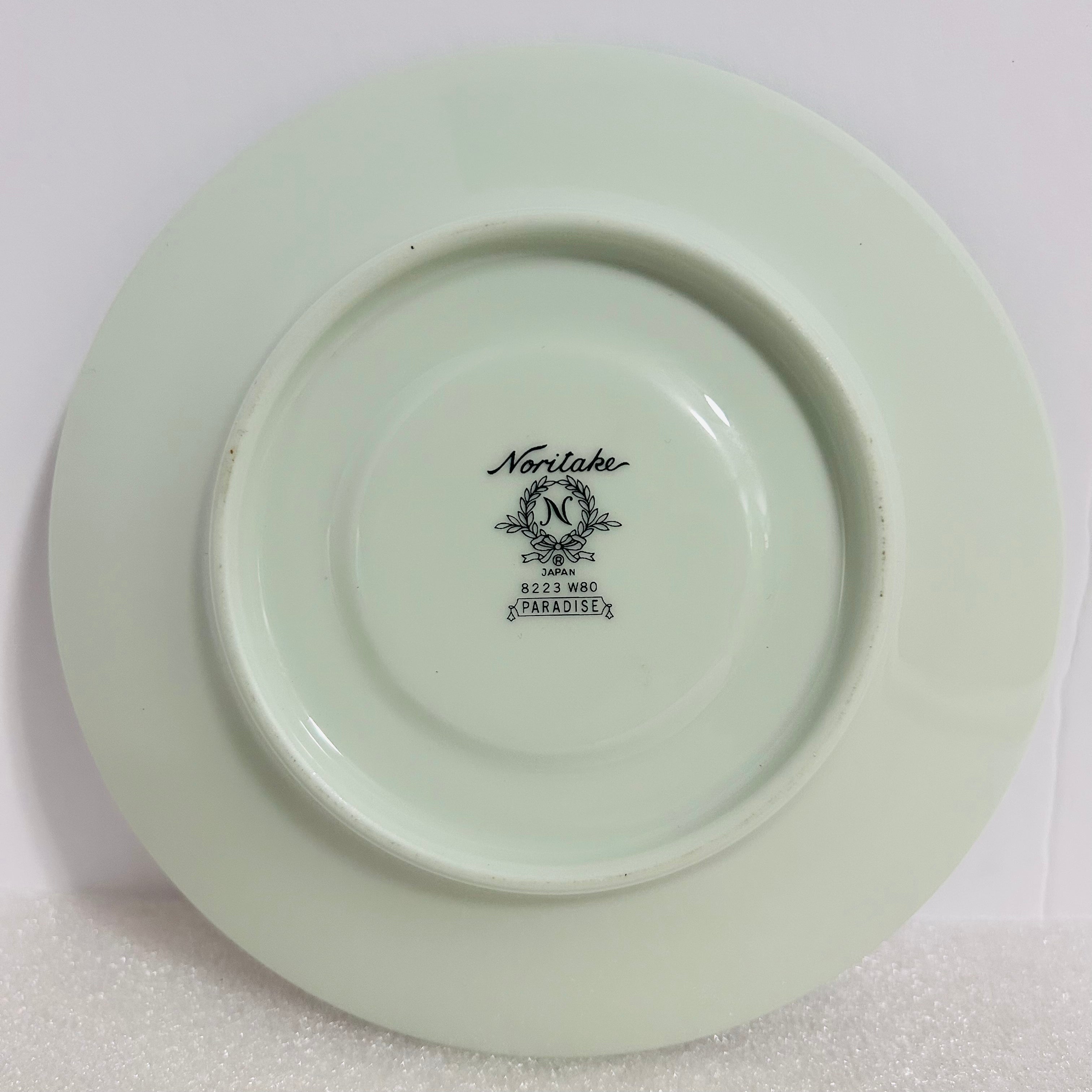 Noritake Paradise 8223 W80 Teacup Saucer Mint Green Japan