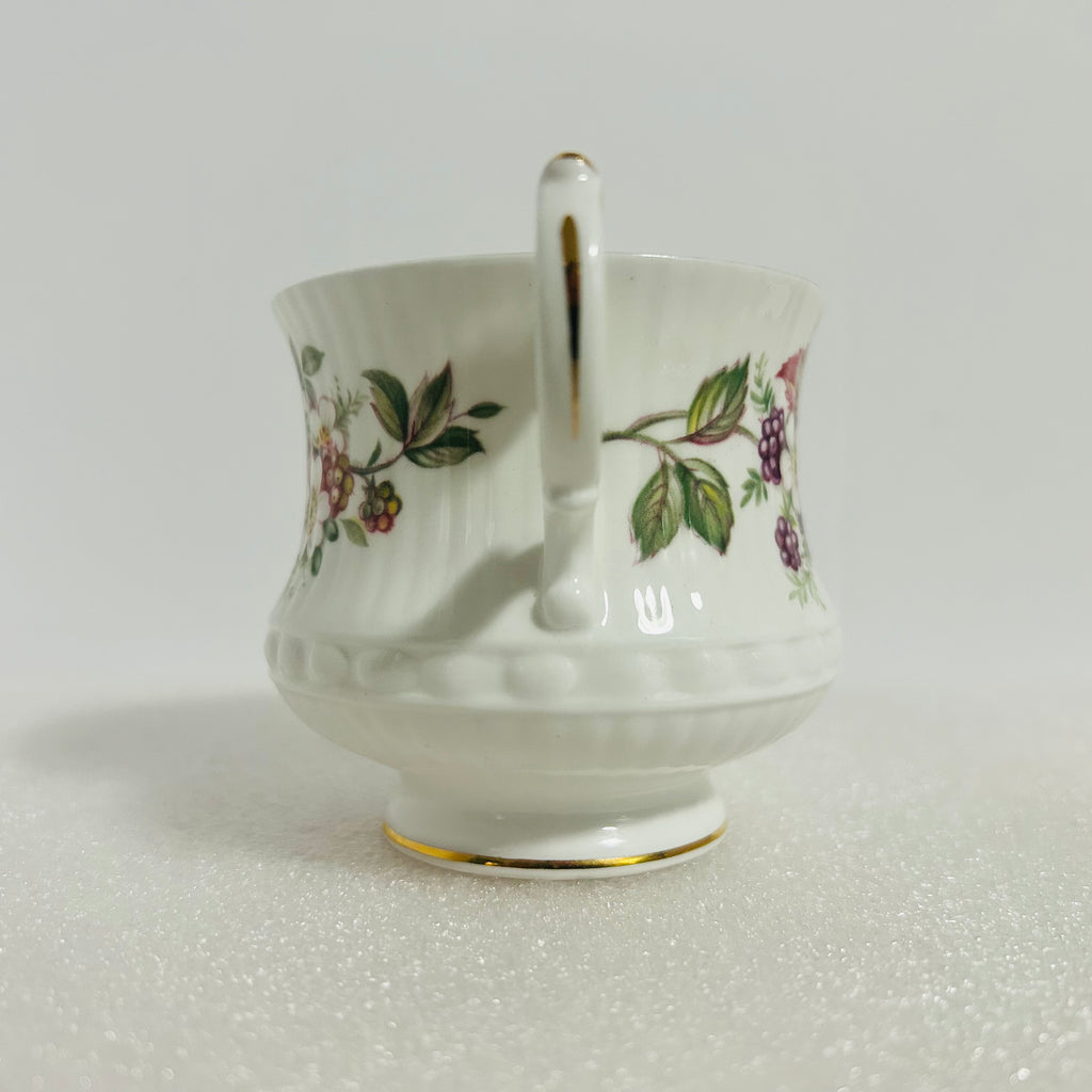 Queen’s Rosina Wild Flowers Bone China Teacup Saucer England