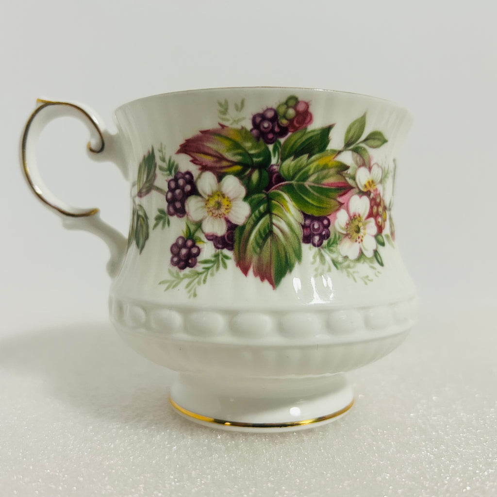Queen’s Rosina Wild Flowers Bone China Teacup Saucer England