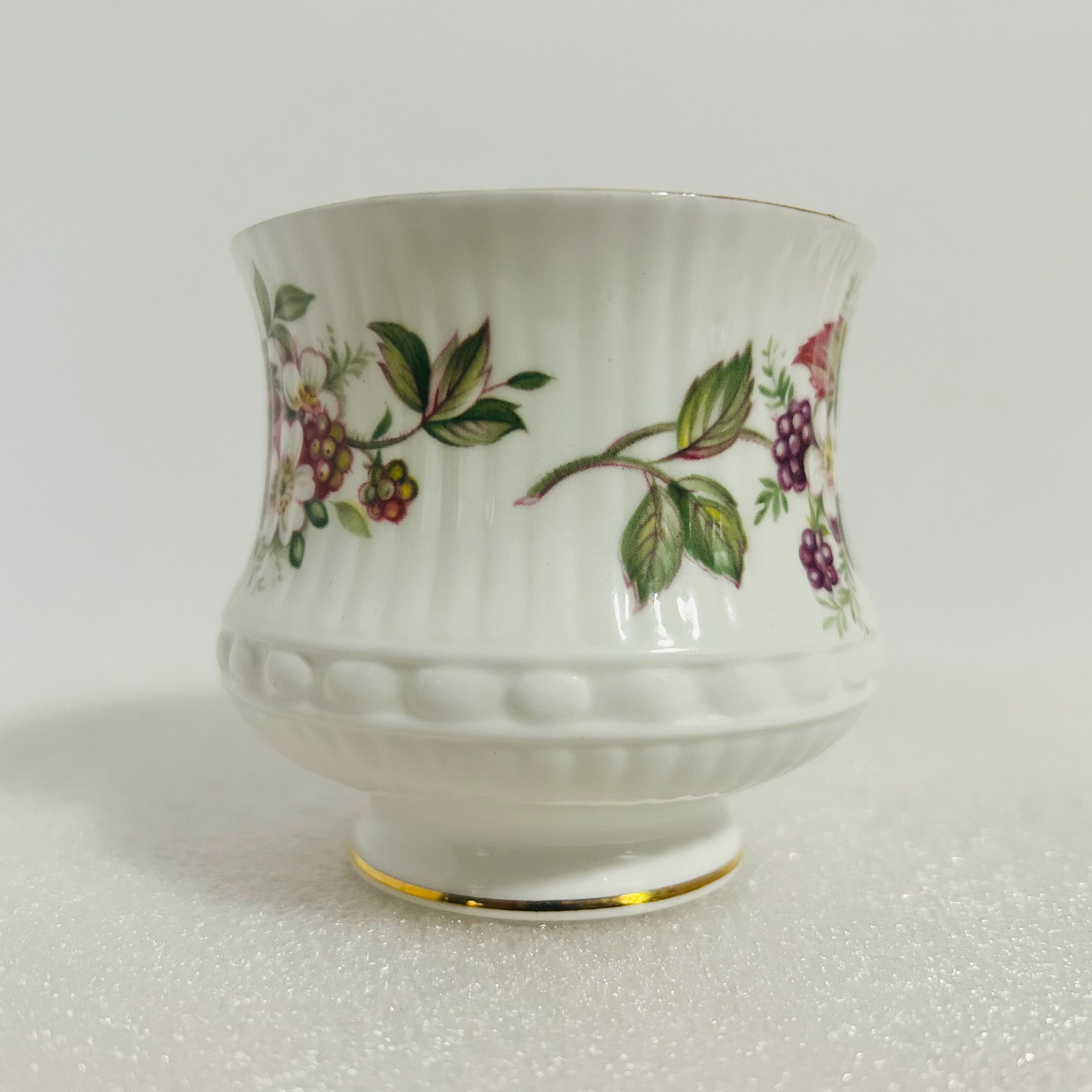 Queen’s Rosina Wild Flowers Bone China Teacup Saucer England