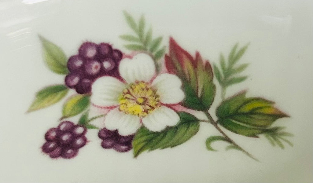 Queen’s Rosina Wild Flowers Bone China Teacup Saucer England