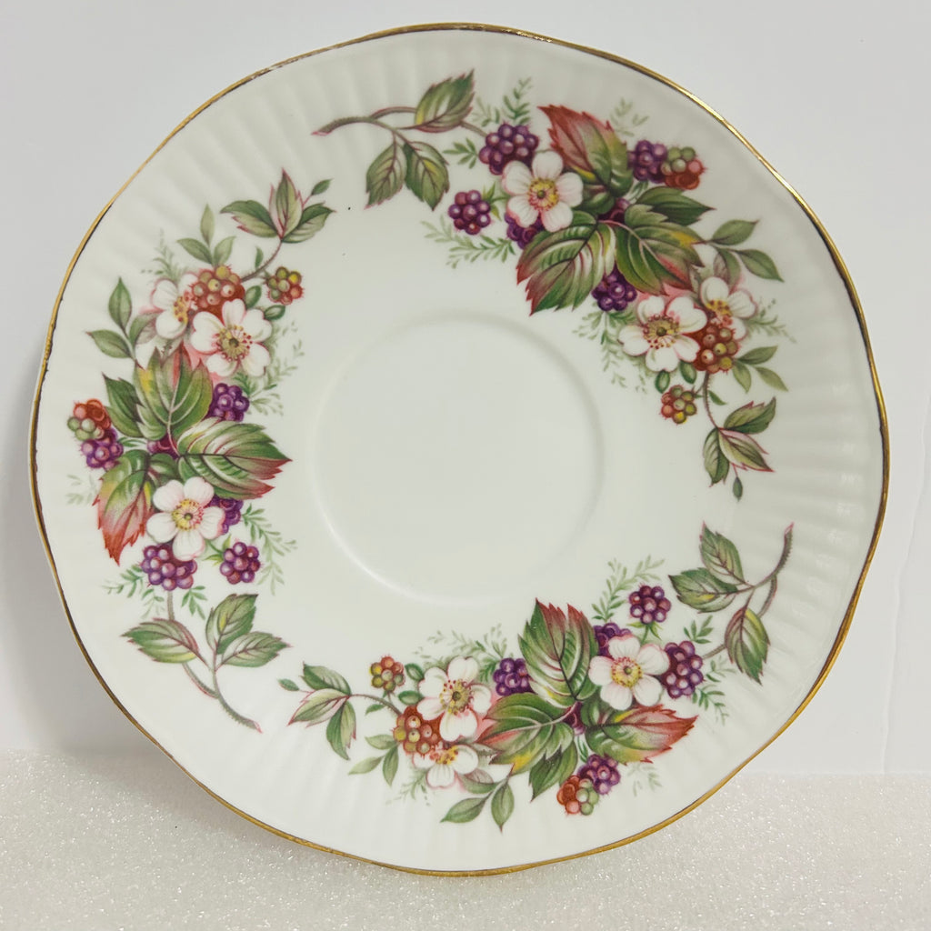 Queen’s Rosina Wild Flowers Bone China Teacup Saucer England