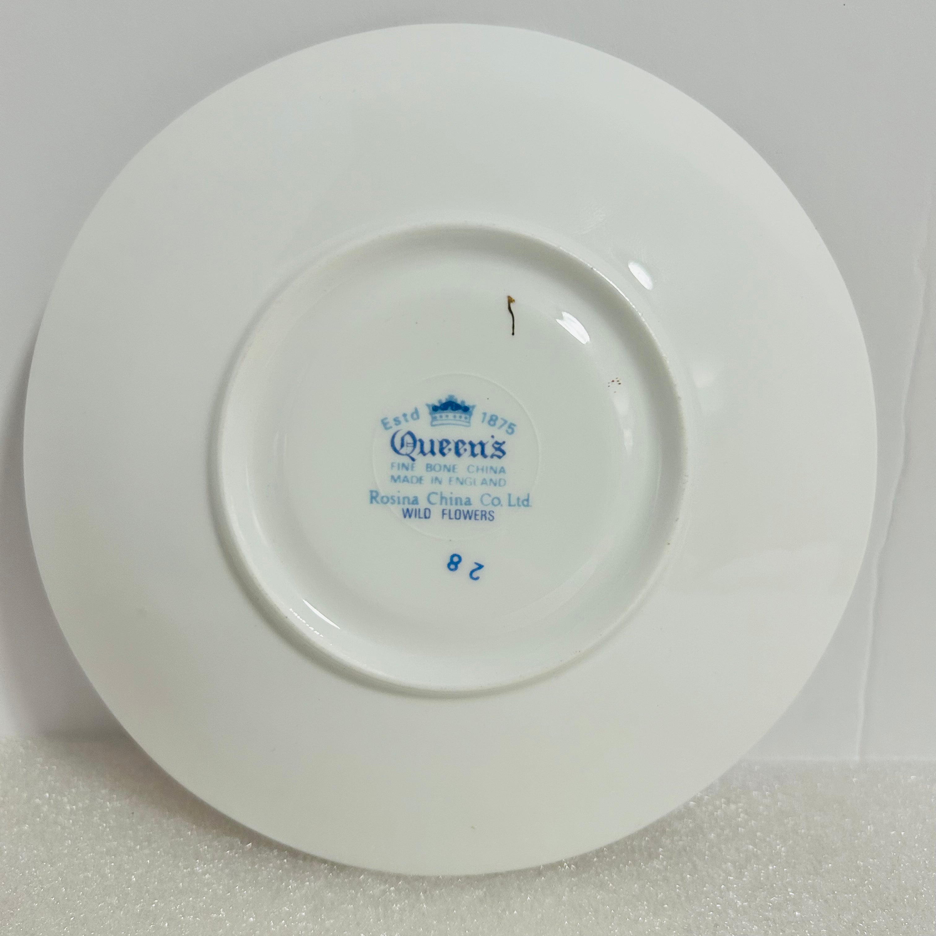 Queen’s Rosina Wild Flowers Bone China Teacup Saucer England